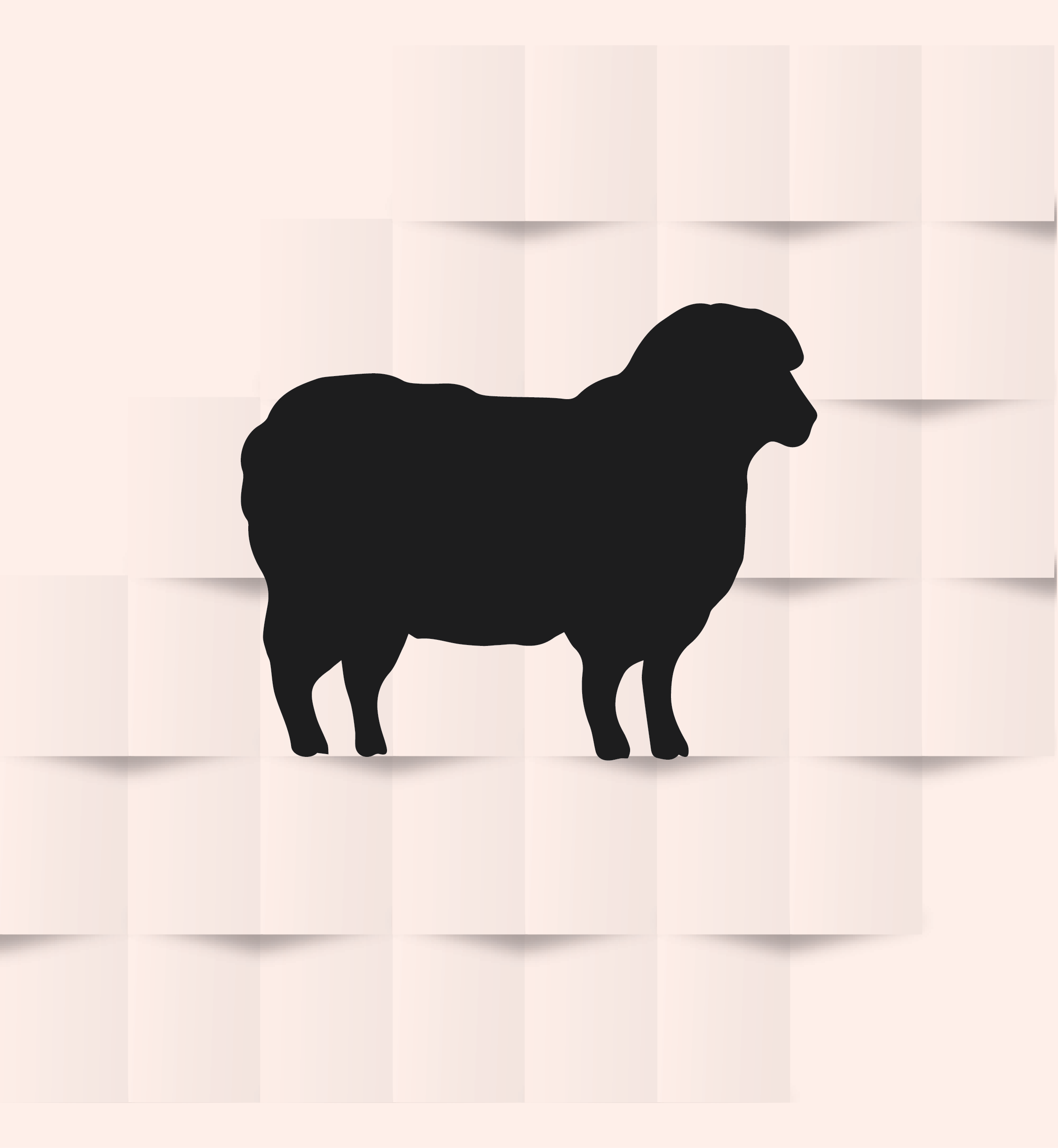 Home usman live stock 01 (1)